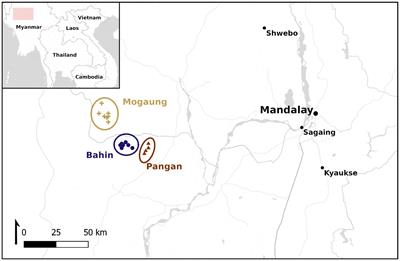 Isotopic niche modelling of the Pondaung mammal fauna (middle Eocene, Myanmar) shows microhabitat differences. Insights into paleoecology and early anthropoid primate habitats